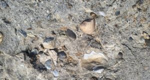 मनेंद्रगढ़ में बनेगा इतिहास और पुरातत्व में रुचि रखने वालों के लिए आकर्षण का केन्द्र