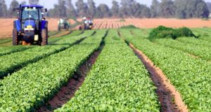 छत्तीसगढ़ के किसान की अनोखी तरकीब, कम मेहनत में ज्यादा कमाई