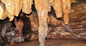 कांगेर घाटी राष्ट्रीय उद्यान विश्व धरोहर की दौड़ में शामिल