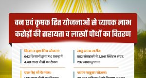 हरियाली से आर्थिक रूप से सशक्त हुए मोहला जिले के ग्रामीण