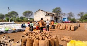 बालोद जिले में समर्थन मूल्य पर धान खरीदी कार्य सफलतापूर्वक जारी