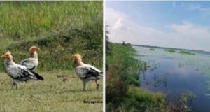 कोपरा जलाशय को मिलेगा रामसर स्थल का दर्जा