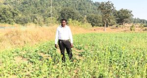 प्रधानमंत्री धन-धान्य कृषि योजना ने बदली किसानों की किस्मत