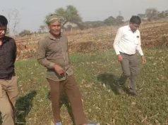 धान से हटकर समृद्धि की राह: जेवरा के किसान दिलीप सिन्हा ने दलहन-तिलहन से कमाए 25 लाख रुपये