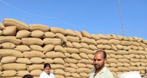 छत्तीसगढ़ में धान खरीदी का सिलसिला अनवरत रूप से जारी: अब तक 106 लाख मीट्रिक टन धान की खरीदी।