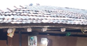 मुख्यमंत्री श्री विष्णुदेव साय के नेतृत्व में नियद नेल्ला नार योजना से पुसकोंटा को मिली विकास की सौगात : छत्तीसगढ़ के दूरस्थ अंचल में आई रोशनी की नई किरण