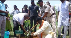 विश्व पर्यावरण दिवस 2025 के अवसर पर कृष्ण कुंज में वृक्षारोपण कार्यक्रम का किया गया आयोजन