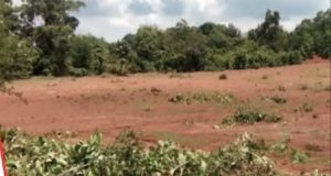 वन पट्टों के फौती और नामांतरण की प्रक्रिया अब आसान