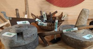 मुख्यमंत्री निवास में हरेली उत्सव: छत्तीसगढ़ी परंपराओं की झलक, पारंपरिक कृषि यंत्रों के साथ बिखरी सांस्कृतिक छटा