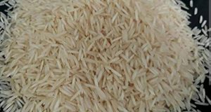 प्रदेश के अन्नदाताओं की समृद्धि के लिए प्रतिबद्ध डबल इंजन सरकार : चावल उपार्जन लक्ष्य में 8 लाख मीट्रिक टन की वृद्धि