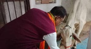 गौ-सेवा से ही मिलती है सच्ची शांति और ऊर्जा : मुख्यमंत्री श्री विष्णु देव साय