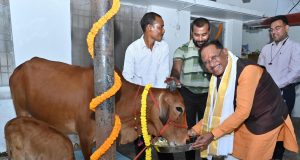 गोवर्धन पूजा के अवसर पर मुख्यमंत्री ने किया गौपूजन, प्रदेशवासियों की सुख-समृद्धि की कामना की