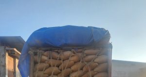 राज्य में अवैध धान की आवाजाही रोकने प्रशासन सक्रिय, सीमावर्ती चेकपोस्टों पर कड़ी निगरानी