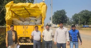 कार्रवाई : अवैध रूप से भंडारित 75 बोरी धान जब्त