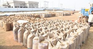 राज्य के सभी जिलों में समर्थन मूल्य पर धान खरीदी का सिलसिला जारी