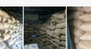 रायगढ़ में 30 प्रकरणों में एक करोड़ रुपए से अधिक मूल्य के 3,266 क्विंटल अवैध धान किया गया जब्त