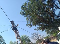 विद्युत विभाग का बड़ा एक्शन 88 बकायादारों के काटे गए कनेक्शन