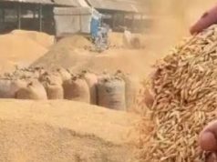 प्रदेश में अवैध भण्डारण, परिवहन एवं विक्रय करते हुए लगभग 1 लाख 52 हजार क्विंटल धान जब्त