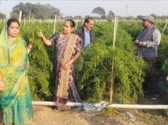 ड्रिप तकनीक से बदली खेती की तस्वीर: धान–मिर्ची की फसल से किसान मुकेश चौधरी को सालाना लाखों की आमदनी