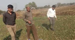 धान से हटकर समृद्धि की राह: जेवरा के किसान दिलीप सिन्हा ने दलहन-तिलहन से कमाए 25 लाख रुपये