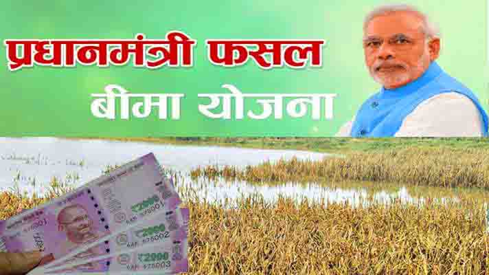 रबी वर्ष 2023-24 में प्रधानमंत्री फसल बीमा योजना अंतर्गत कृषकों को क्षति का दावा भुगतान