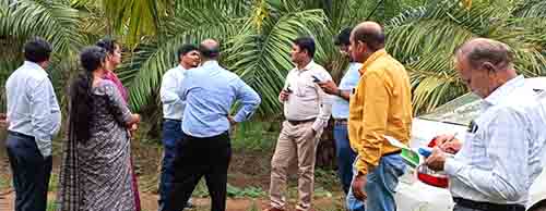 आत्मनिर्भर भारत अंतर्गत ऑयल पॉम योजना