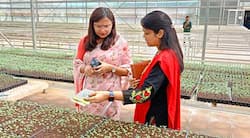 कलेक्टर सुश्री चौधरी ने की बीज प्रगुणन प्रक्षेत्र और एस.जे. फार्म का निरीक्षण कलेक्टर सुश्री चौधरी ने की बीज प्रगुणन प्रक्षेत्र और एस.जे. फार्म का निरीक्षण