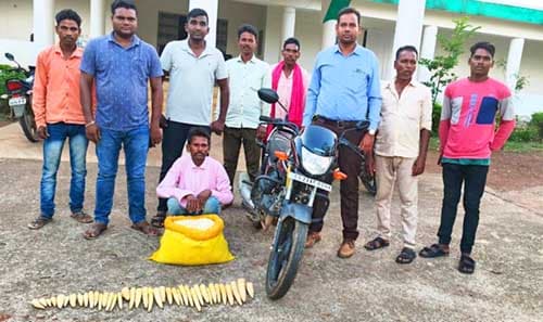 बांस करील के अवैध परिवहन पर कार्रवाई आरोपी गिरफ्तार