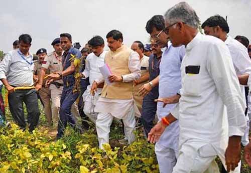 छत्तीसगढ़ की नई औद्योगिक नीति से लाभान्वित हुए युवा उद्यमी