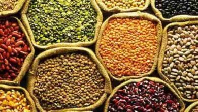 केंद्र सरकार ने किसानों से दलहन-तिलहन उपार्जन को मंजूरी दी