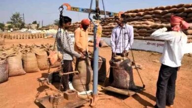 धान खरीदी में रिकॉर्ड प्रगति—17.24 लाख टोकन से 87 लाख टन की ऐतिहासिक खरीदी