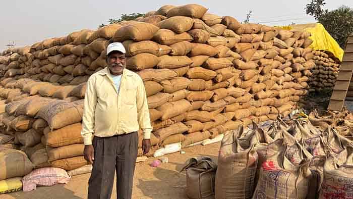 मेहनत का मीठा फल—धान की बेहतर कीमत ने किसान युगल को दी नई उड़ान मेहनत का मीठा फल—धान की बेहतर कीमत ने किसान युगल को दी नई उड़ान