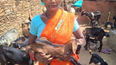 महतारी गौरव वर्ष में सशक्त हो रही छत्तीसगढ़ की मातृशक्ति