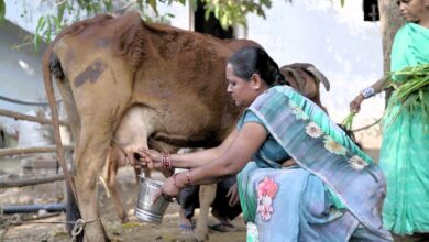 आत्मनिर्भरता की मिसाल: औराटोला बना बालोद का पहला लखपति दीदी ग्राम