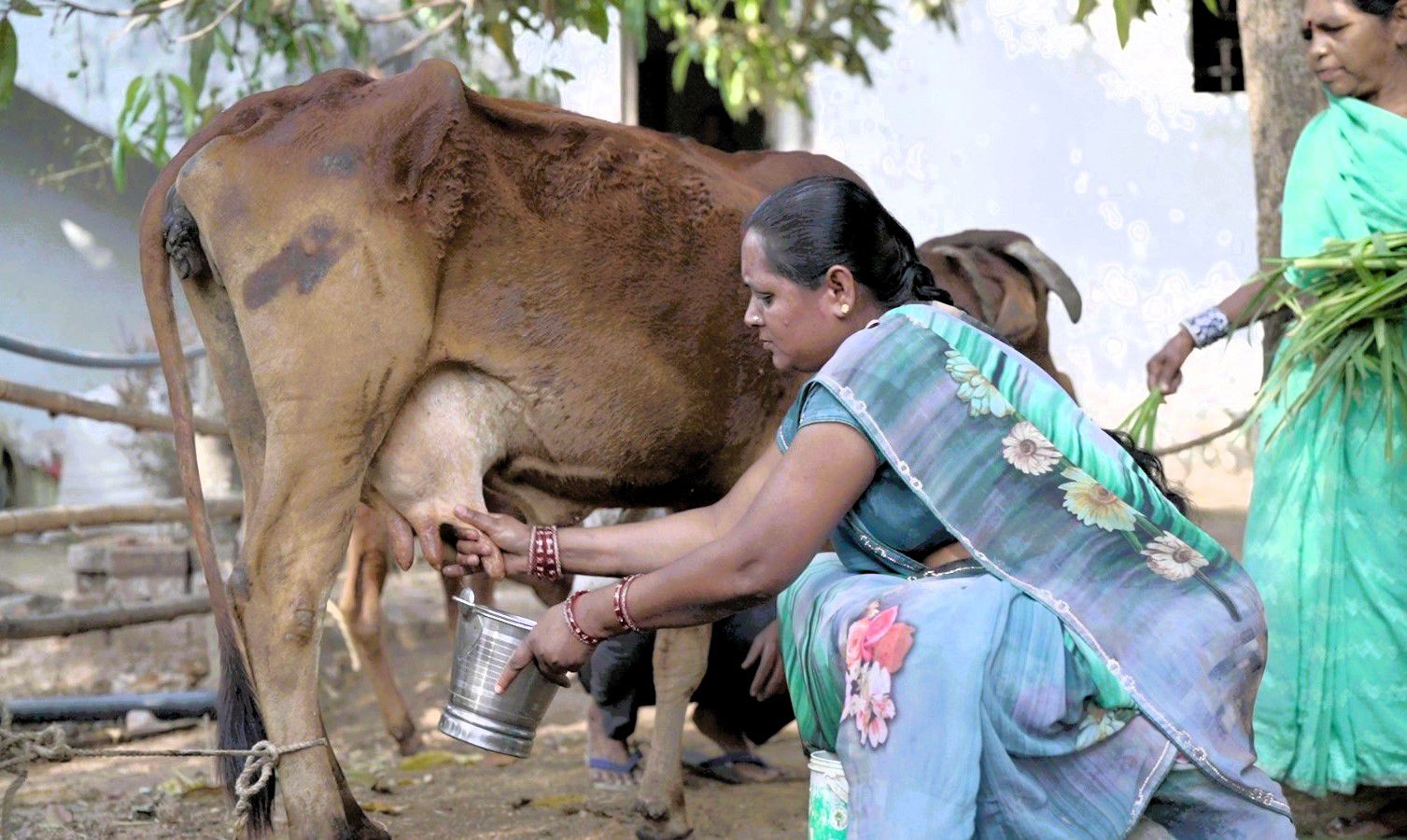 आत्मनिर्भरता की मिसाल: औराटोला बना बालोद का पहला लखपति दीदी ग्राम आत्मनिर्भरता की मिसाल: औराटोला बना बालोद का पहला लखपति दीदी ग्राम