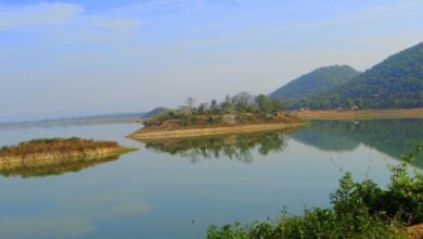 राज्य के सिंचाई जलाशयों में अभी 67 प्रतिशत से अधिक जल भराव