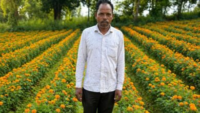 परंपरागत खेती छोड़ फूलों की खेती अपनाई, कम लागत में मिला ज्यादा मुनाफा