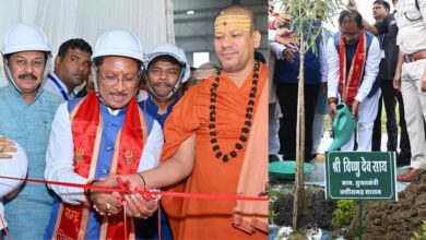 बदलता छत्तीसगढ़: वनोपज की चमक से संवरती ग्रामीण अर्थव्यवस्था