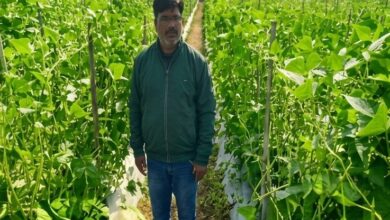 उद्यानिकी की आधुनिक तकनीकों से किसान महेश कश्यप की बदली तकदीर
