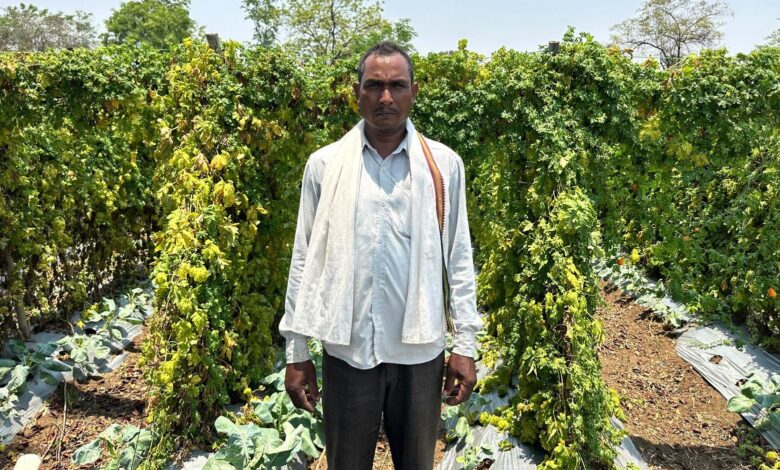 सफलता की इबारत: वाटरशेड योजना ने बदली किसान छबी लाल की तकदीर