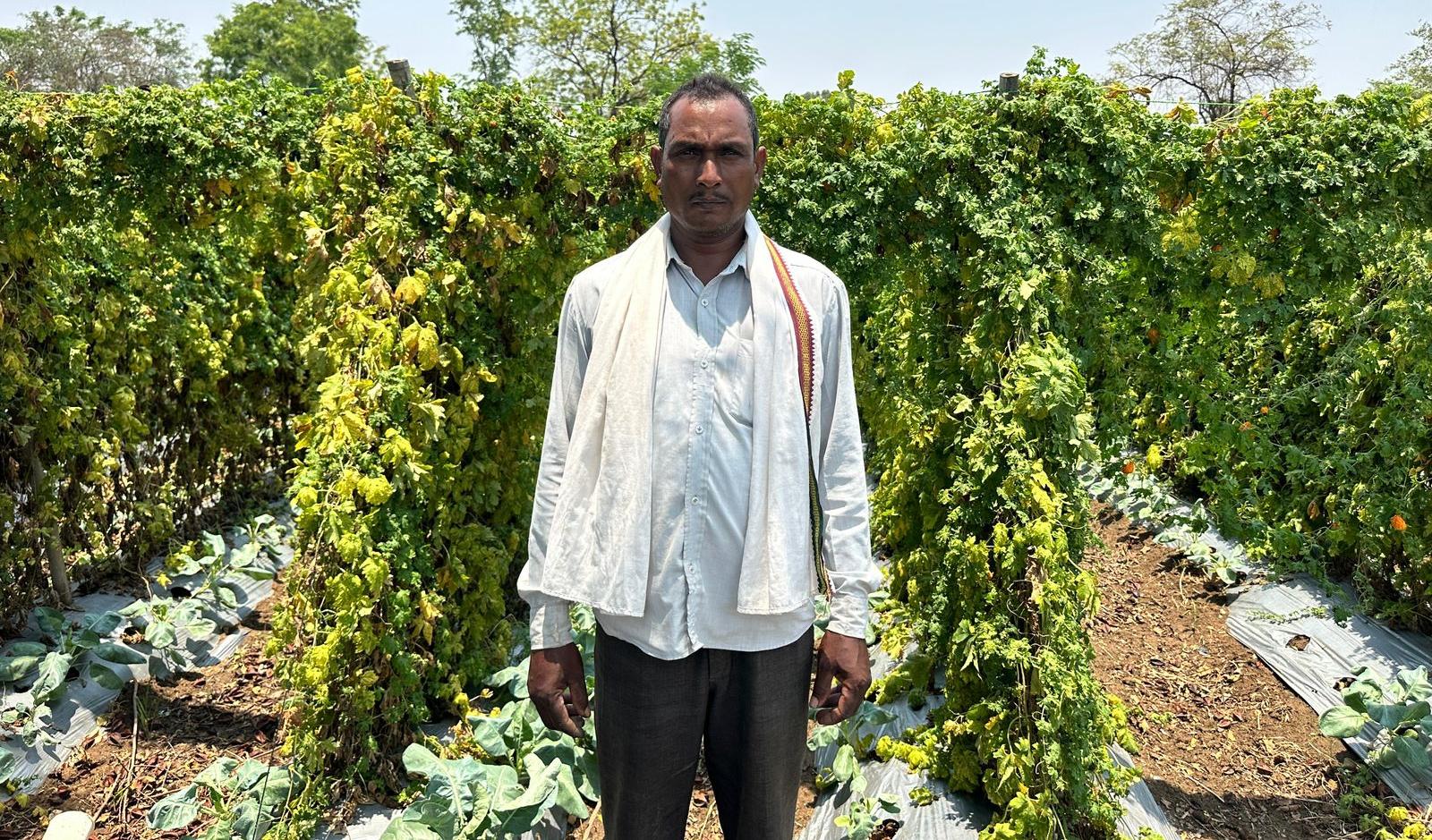 सफलता की इबारत: वाटरशेड योजना ने बदली किसान छबी लाल की तकदीर