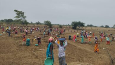 महात्मा गांधी नरेगा से जल संरक्षण का महाअभियान, रोजगार और आजीविका को मिली नई ताकत