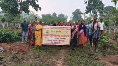 जशपुर की सभी ग्राम पंचायतों में रोजगार दिवस का आयोजन, मनरेगा से रोजगार और विकास को मिली नई गति जशपुर की सभी ग्राम पंचायतों में रोजगार दिवस का आयोजन, मनरेगा से रोजगार और विकास को मिली नई गति