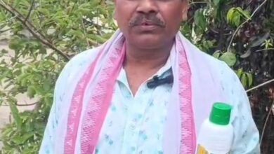 नैनो उर्वरकों ने बढ़ाया किसानों का भरोसा, कम लागत में मिला बेहतर उत्पादन नैनो उर्वरकों ने बढ़ाया किसानों का भरोसा, कम लागत में मिला बेहतर उत्पादन