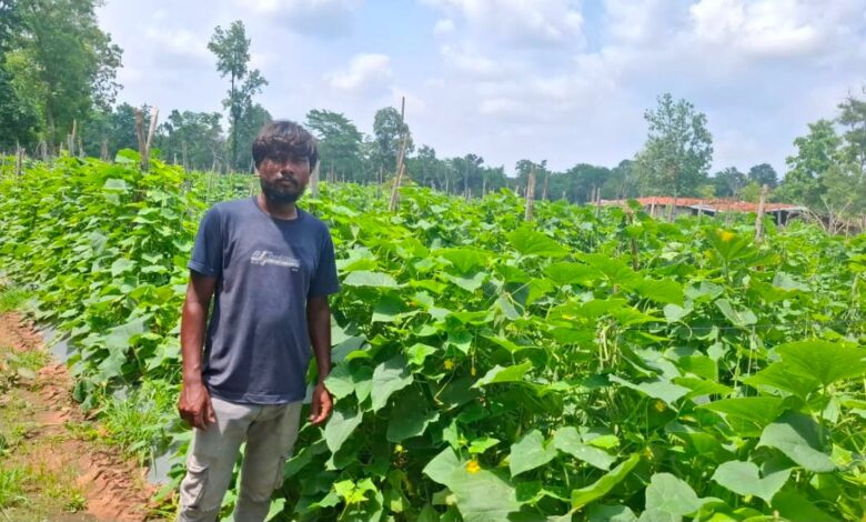 उद्यानिकी विभाग की योजना से बदली कमार कृषक की तकदीर