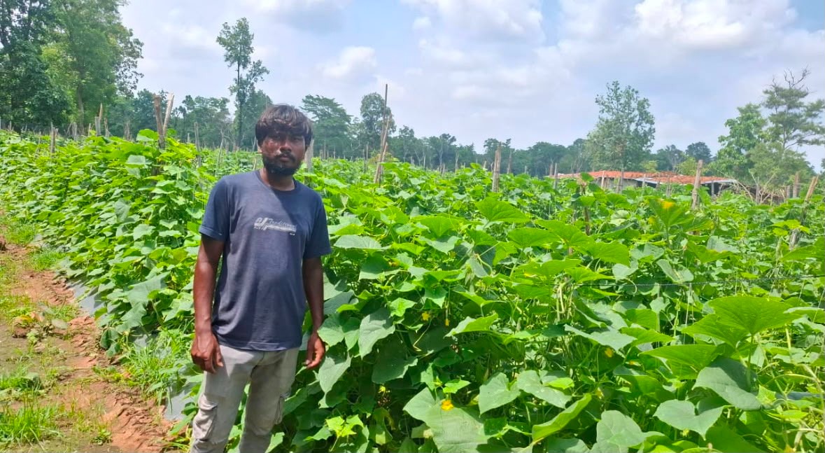 उद्यानिकी विभाग की योजना से बदली कमार कृषक की तकदीर