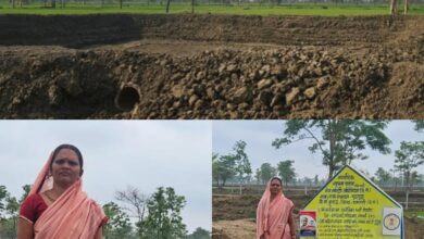 बारिश के साथ दिखने लगा ‘मोर गांव-मोर पानी’ अभियान का असर