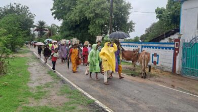 पेड़ लगाने से भी एक कदम आगे: जंगल उगाने की नई पहल पेड़ लगाने से भी एक कदम आगे: जंगल उगाने की नई पहल