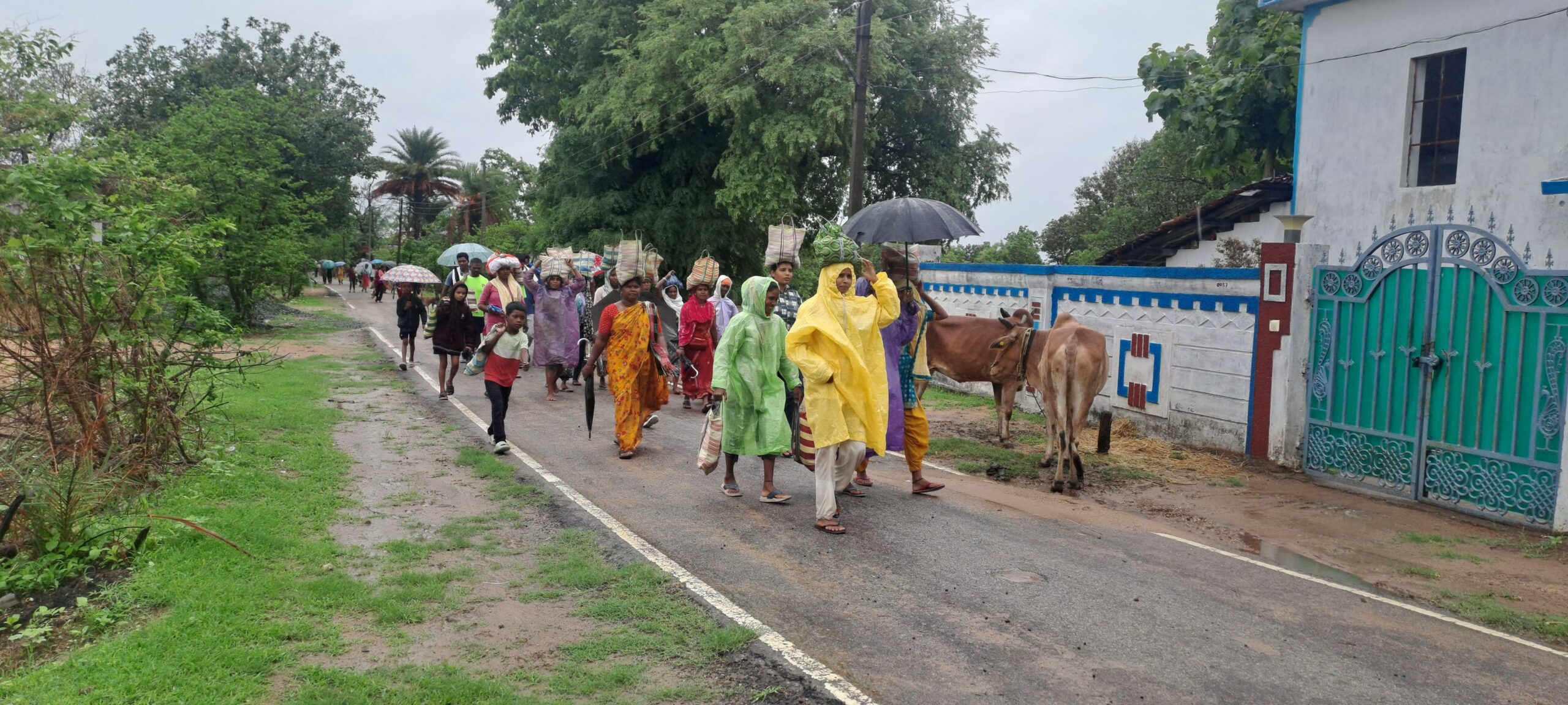 पेड़ लगाने से भी एक कदम आगे: जंगल उगाने की नई पहल पेड़ लगाने से भी एक कदम आगे: जंगल उगाने की नई पहल