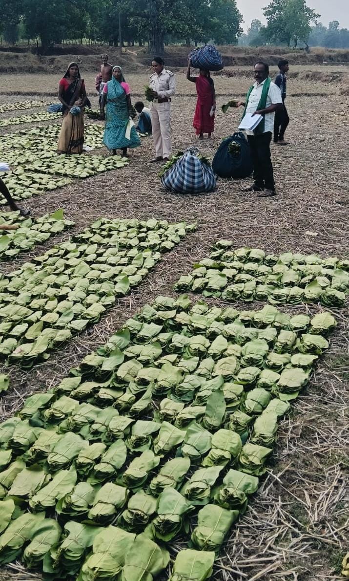 तेन्दूपत्ता संग्राहकों के खातों में पहुंचने लगी बोनस राशि तेन्दूपत्ता संग्राहकों के खातों में पहुंचने लगी बोनस राशि